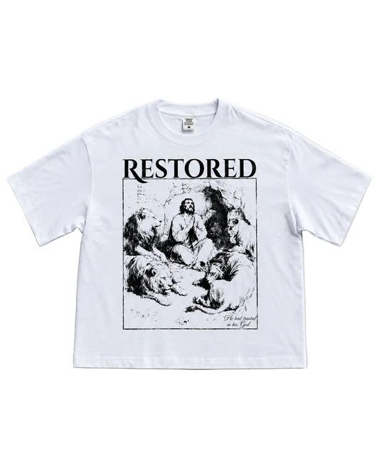 Daniel Boxy T-Shirt